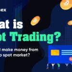 What is Spot Trading in Crypto for Beginners (2025)